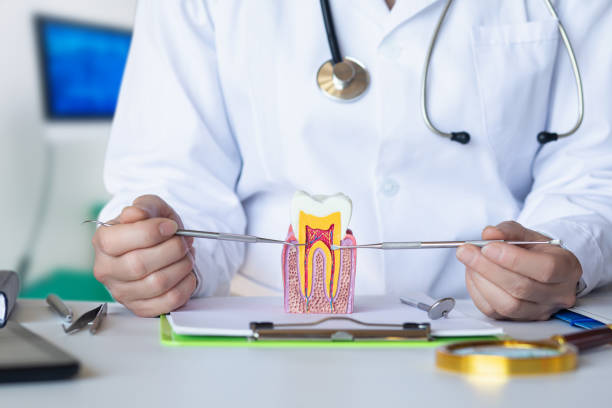 Best Emergency Tooth Extraction in Mount Olive, MS